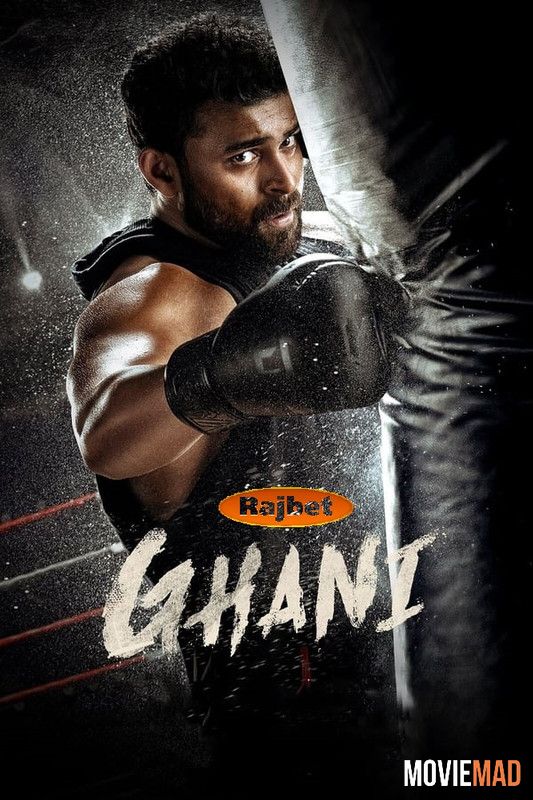 full moviesGhani (2022) Hindi (HQ Dub) Dubbed HDRip Full Movie 1080p 720p 480p